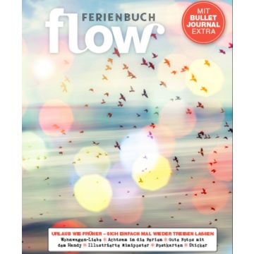 Flow - Ferienbuch Band 6