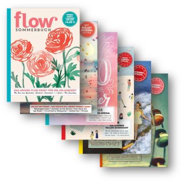Flow Ferienbücher Sammelpaket