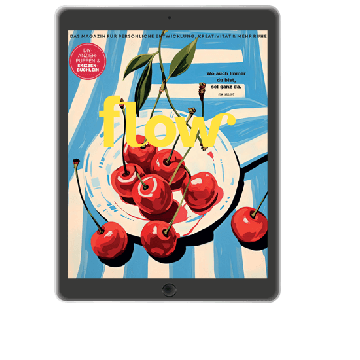 Flow ePaper-Abo
