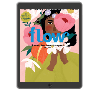 Flow ePaper-Abo