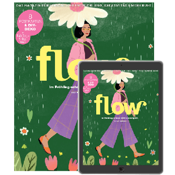Flow ePaper-Abo