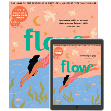 Flow ePaper-Abo