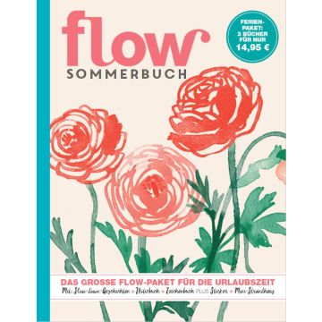 Flow - Ferienbuch Band 7