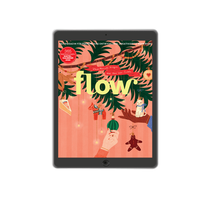 ePaper-Abo Flow f&uuml;r 1 Jahr